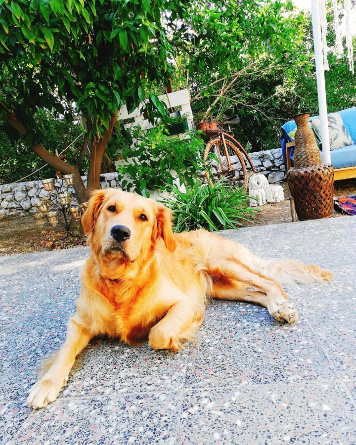 L'onda Oda Bodrum Exterior foto